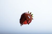 Erdbeerschokolade