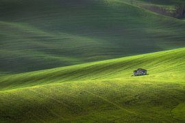 Altes Bauernhaus inmitten der sanften Hügel, Landschaft in Volterra von Stefano Orazzini