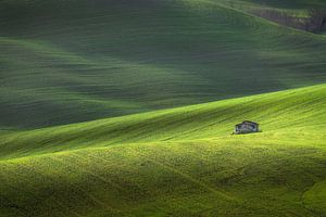 Altes Bauernhaus inmitten der sanften Hügel, Landschaft in Volterra