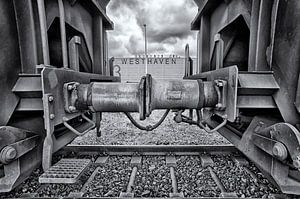 Westhaven