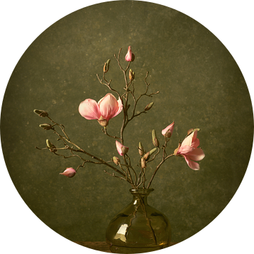 Magnolia van Rogier Kwikkers