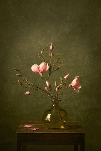 Magnolia par Rogier Kwikkers