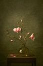 Magnolia by Rogier Kwikkers thumbnail