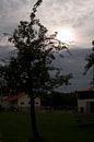 Watery Sun by Laurens Rijswijk thumbnail
