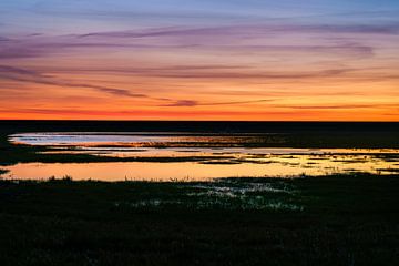 Sonnenuntergang im Flevopolder von Fotografiecor .nl