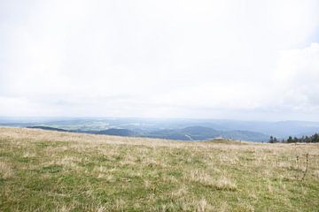 Vue du Feldberg dans la Forêt Noire