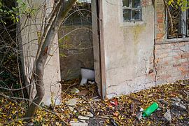 alter Gebäudeteil mit Toilette in Halle Saale in Deutschland