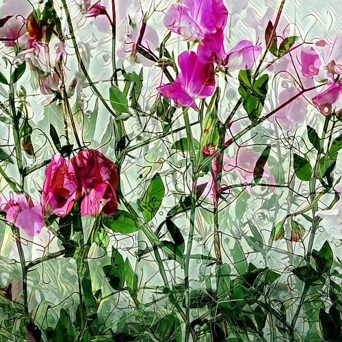 Fröhliche Ziererbsen in leuchtenden Farben