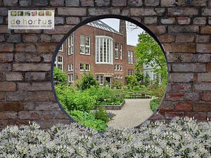 Hortus Botanicus in Amsterdam van Bartel van den Berg