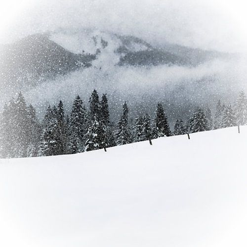 Wintermärchen HEMMERSUPPENALM V