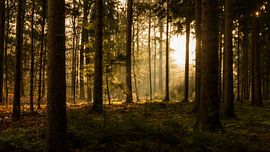 Lichtpunkt von WILBERT HEIJKOOP photography