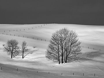 Winterlandschap van Andreas Müller
