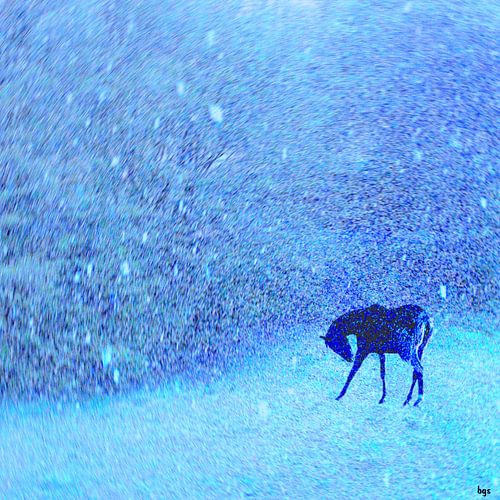 Horse in a snowstorm