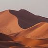 Zandduinen bij zonsondergang, woestijn Namibië || Sossusvlei van Suzanne Spijkers