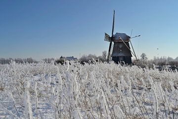 Molen de Hommel in besneeuwd landschap van Susan Dekker