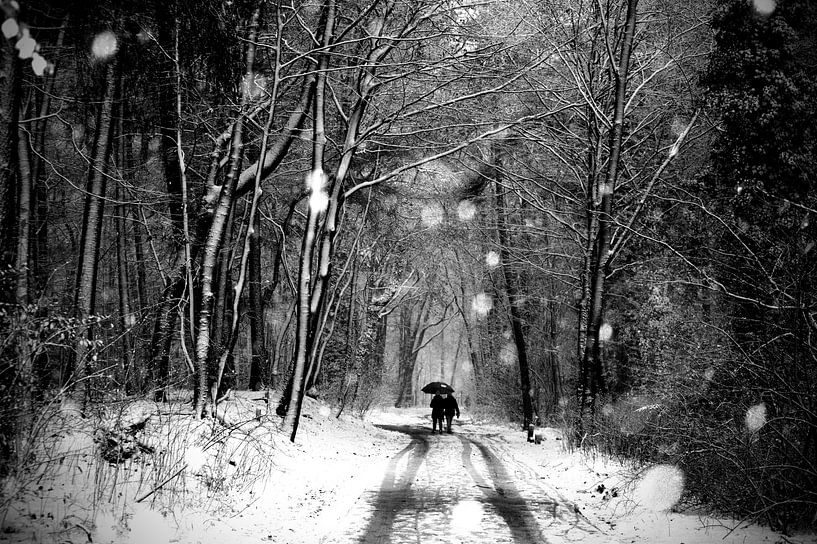 Een wandelend echtpaar door de sneeuw in het bos (zwartwit) van Carlijn van Gerrevink