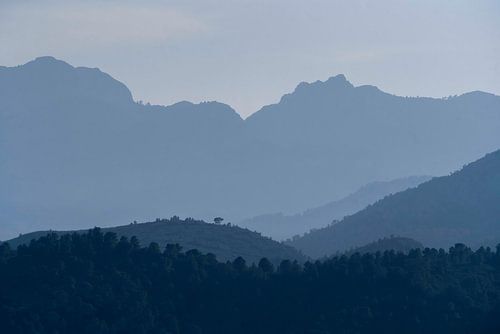 Bergen fine art blauw