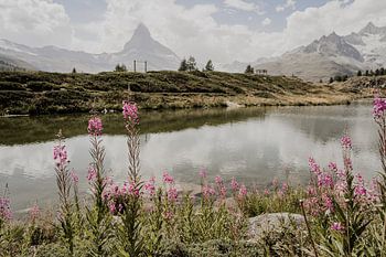 Leisee Cervin Zermatt