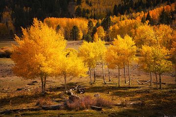 Le pic d'automne de l'Utah sur Martin Podt