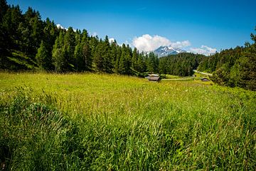 De Oostenrijkse alm in zomer