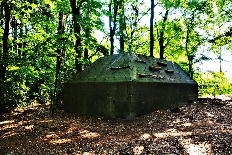 Bunker in het Kocherbos van David van Coowijk