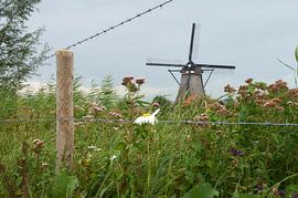World Heritage Kinderdijk windmills by Ad Jekel
