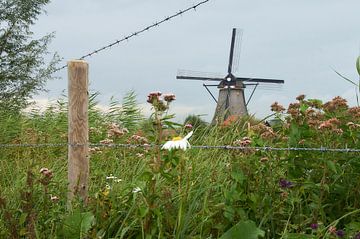Werelderfgoed Kinderdijk molens van Ad Jekel