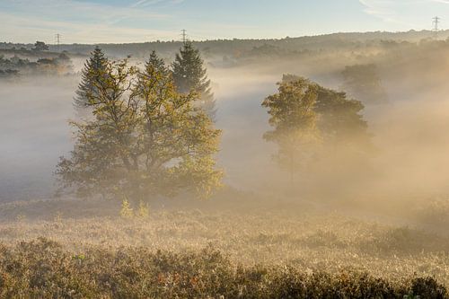 landschap op de zuid limburgse heide