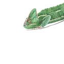 Reptielen