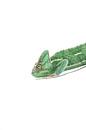 Chameleon in green by Celina Dorrestein thumbnail