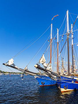 Sailing ships in the city harbour during the Hanse Sail in Rostock by Rico Ködder