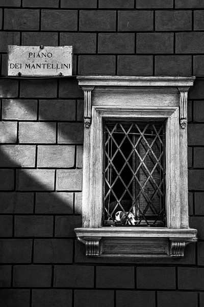 Chien dans la fenêtre par Origin Artworks