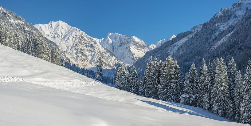 Winter im Allgäu von Walter G. Allgöwer