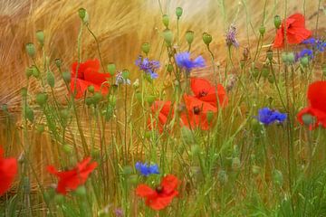 summer flowers by Yvonne Blokland