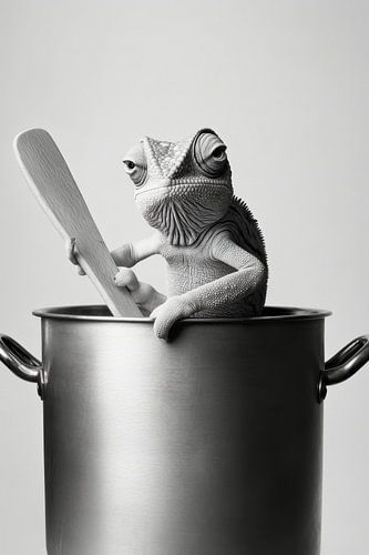 Kameleonkoken