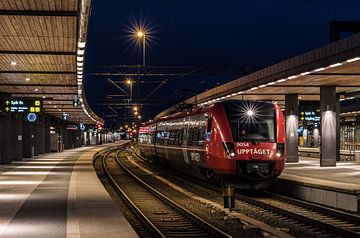 La gare d'Uppsala sur Werner Lerooy
