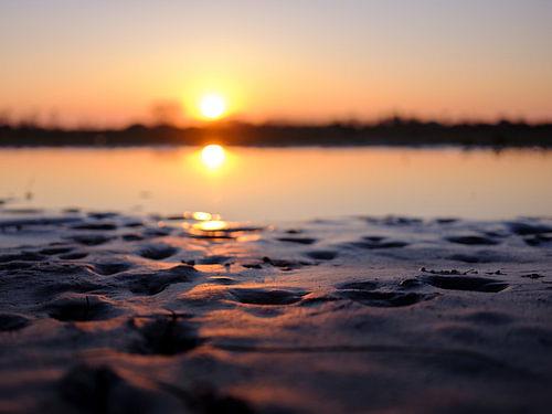 Zonsondergang aan de Maas