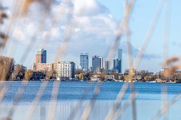 City of Rotterdam by Mirjam Verbeek