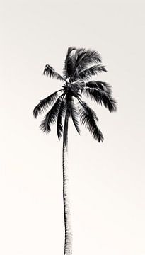 Minimalistische Zwart-Wit Palmboom Kunst by Surreal Media