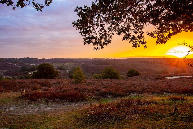 Sonnenaufgang Posbank von Paul Vergeer