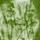 Bloemen. Weide dromen. Botanische illustratie in retrostijl in groen van Dina Dankers thumbnail