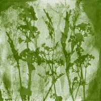Flowers. Meadow dreams. Botanical illustration in retro style in green