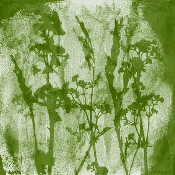 Les fleurs. Rêves de prairie. Illustration botanique de style rétro en vert sur Dina Dankers