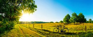 Sommerlandschaft
