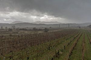 Landschap, Stormachtig weer boven wijnvelden  van Marcel Kerdijk