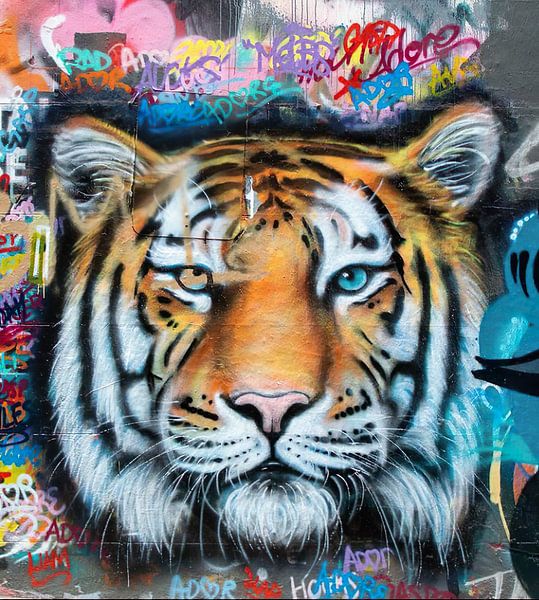 Tiger Street Art von David Potter