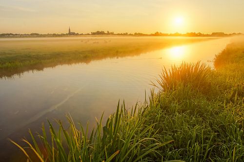 Deze mooie morgen
