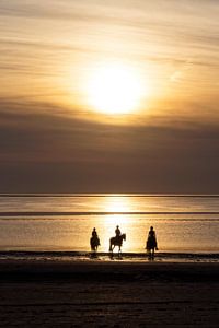 Horses, beach and sunset .. by Miranda van Hulst