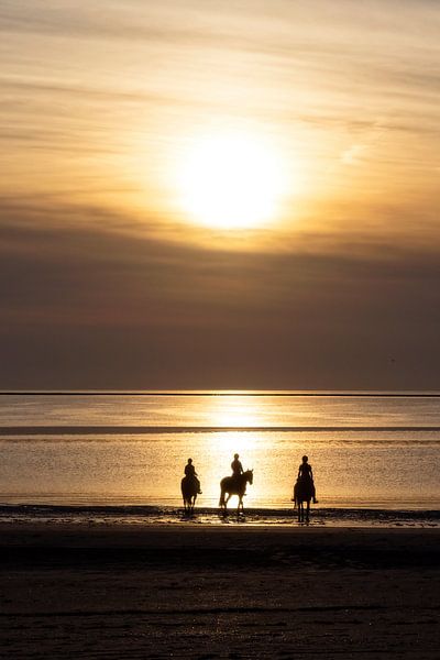 Paarden, strand en zonsondergang.. van Miranda van Hulst