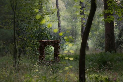 Hortus Botanicus Nijmegen